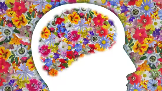 47697edb58526a1620a7ef45cb0751f5avif - Udemy - Healthy Brain Diet (Accredited)