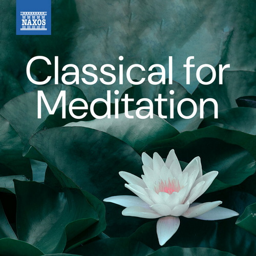 Classical for Meditation (2025) FLAC