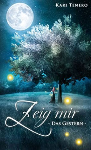 Cover: Kari Tenero - Zeig mir: Das Gestern