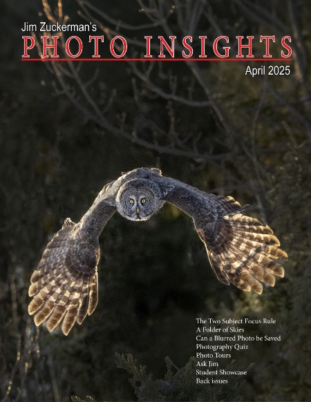 Photo Insights - April 2025