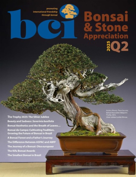 BCI Bonsai And Stone Appreciation Magazine Vol 64 No 02 2025