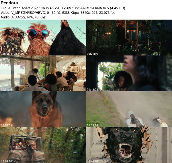 65dbb9a9b814bdab9fa83815991bdc6e.jpg