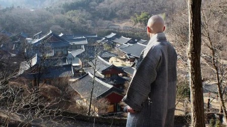 Zen Meditation  The Novice