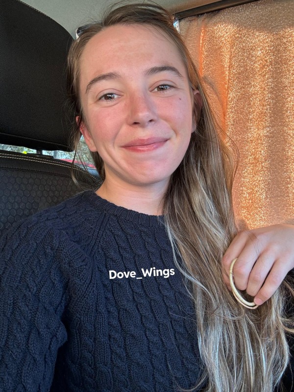 rddit user Dove Wings