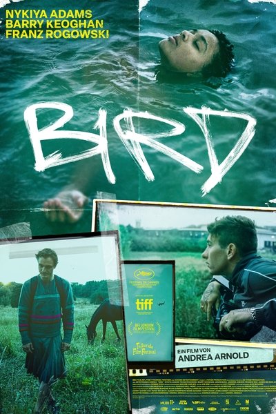 Bird 2024 GERMAN DL 720p WEB H264-MGE Bird 2024 GERMAN DL 720p WEB H264-MGE