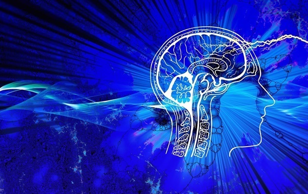 Малоподвижный образ жизни может уменьшать мозг - исследование