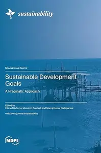 Sustainable Development Goals A Pragmatic Approach