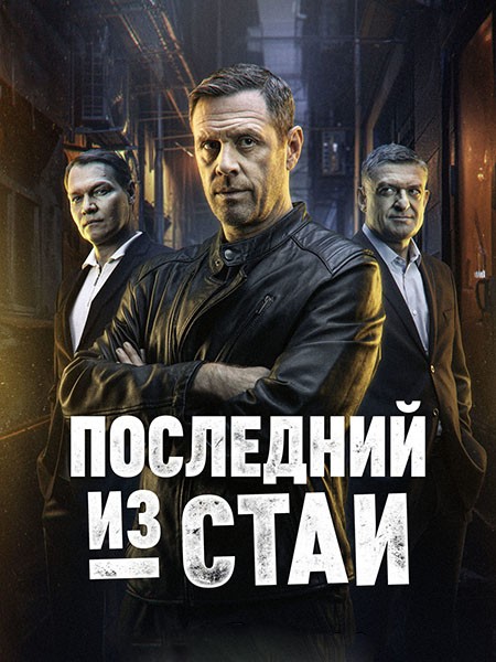    (2025/WEB-DL)
