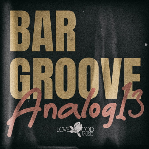 Bar Groove Analog 13 (2025) FLAC Bar Groove Analog 13 (2025) FLAC