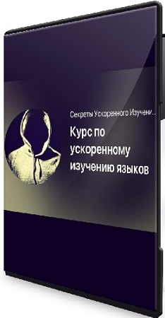 постер к Мишган Жиган - Курс по ускоренному изучению языков (2025) CAMRip