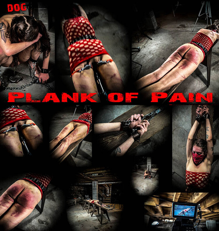 Dog - Plank Of Pain