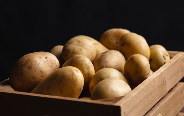 Россия впервые начала покупать картофель в Монголии из-за дефицита