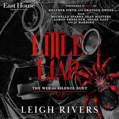 Little Liar - [AUDIOBOOK]