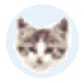 EF File Catalog 25.06 Multilingual