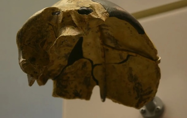 В Китае нашли уникальный череп, возрастом 300 тысяч лет