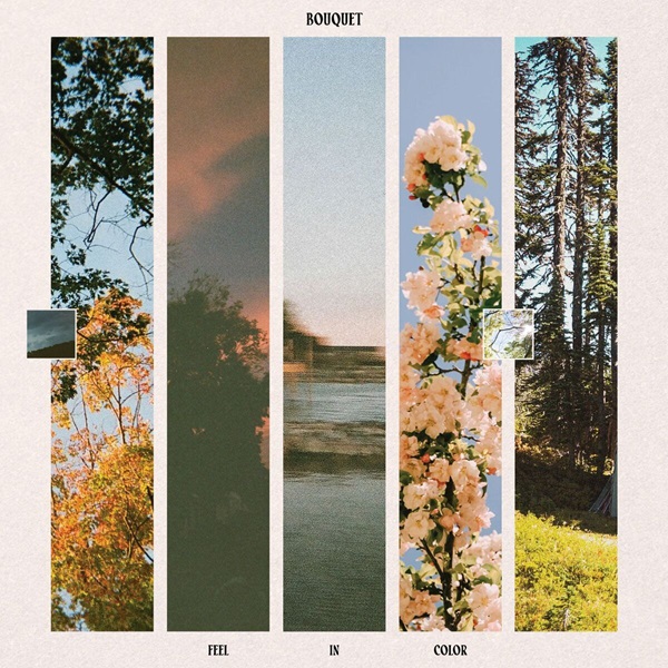 Bouquet - Feel in Color (2025)