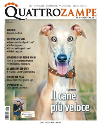 QuattroZampe - Giugno 2025