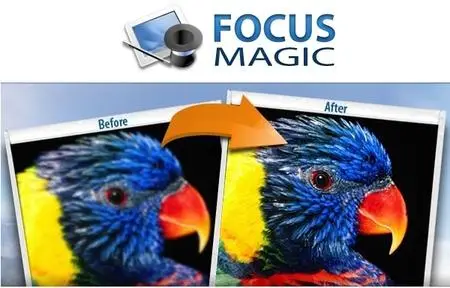 3590475ff4929bdef91713aa9f9bcc11.webp