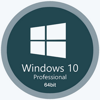 Windows 10 Pro 22H2
