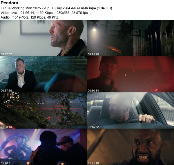 cd91a68892adedcde2b987ac8d517e71.jpg