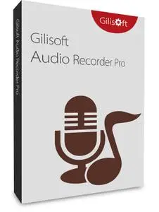 GiliSoft Audio Recorder Pro 13.5 Multilingual (x64)