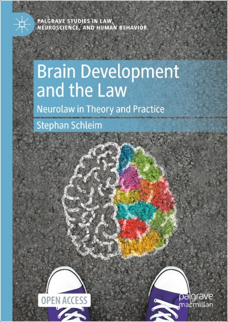 Schleim S Brain Development and the Law Neurolaw in Theory and Practice 2025