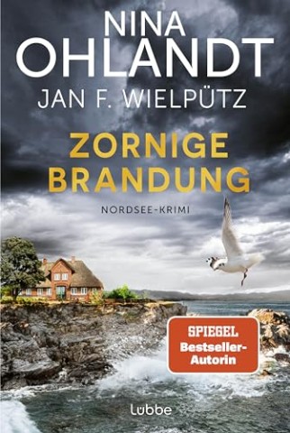 Cover: Nina Ohlandt - Zornige Brandung