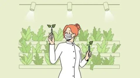 73d87e3a6a5e2fbda73b474fbf46054e - Modern Hydroponic Certificate Course