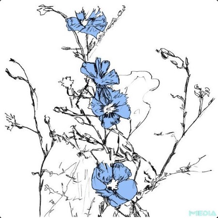 b3bf27ef9b6160eecc1219d8f6ab53a8.jpg