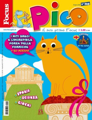 Focus Pico - Giugno 2025
