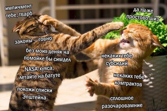 90846a5e24ada70b84a7e78e3b1ffa61.jpeg