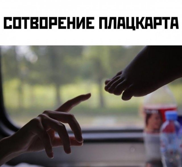 5323acb2c7f84018dd83bd4d69e11963.jpg