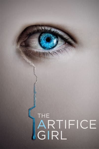 5690e6669c69eca381562d13231f47f8 - The Artifice Girl (2022) 720p BluRay x264-JustWatch