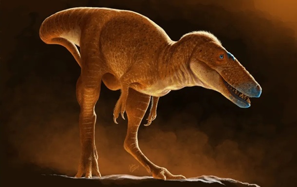 В Монголии обнаружили ближайшего предка тираннозавров