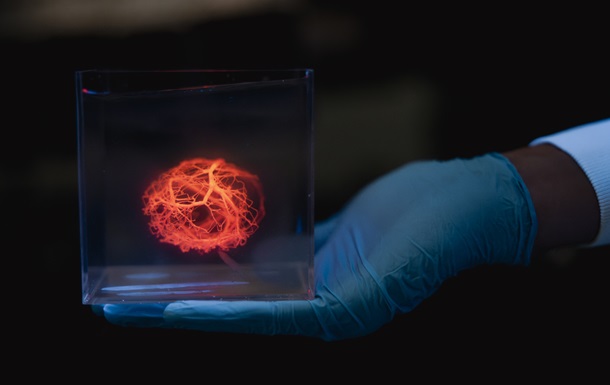Учёные смогут печатать сети кровеносных сосудов для искусственных органов
