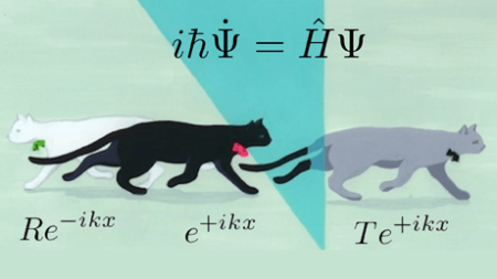 c8eccb85d1b6e6b61397569a1ea6ce1d.png