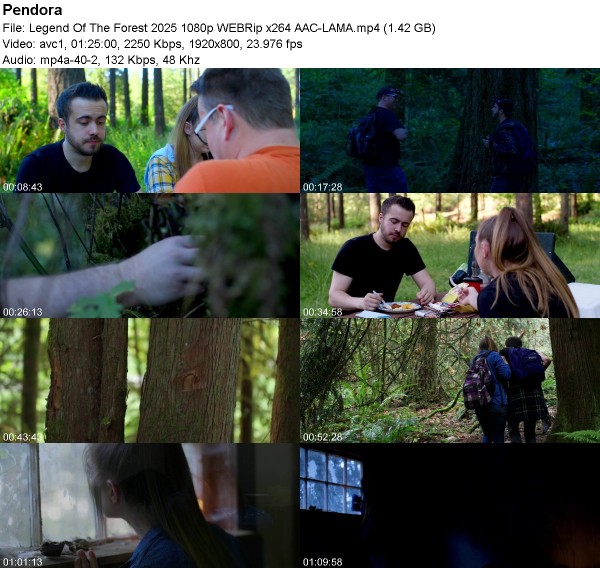 aed9f70a5cbbc15bcc3a4fd41730decf.jpg