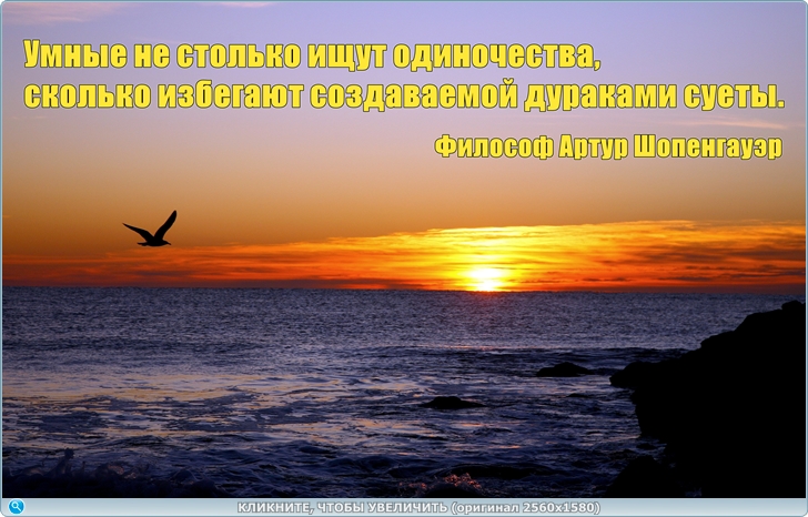 https://i125.fastpic.org/big/2025/0618/4e/b3cfe45c08110739ee571f2ddfdcb44e.jpg