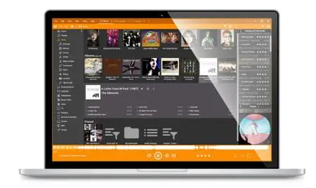 b9b1ab1adbfb39d8cb6bb7ae4fe34159webp - MediaMonkey Gold 2024.2.0.3162 Beta Multilingual