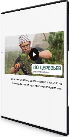 постер к 10 деревьев Дмитрия Звонка (2025) Видеокурс