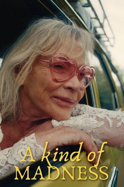 A Kind Of Madness 2025 1080p WEBRip x264 AAC5 1-LAMA