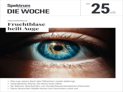 228969ba908d1b666afd3765318cd877.webp