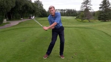 d863d602d0149c4e1872af8f2547d4a4 - The Essence Of The Golf Swing