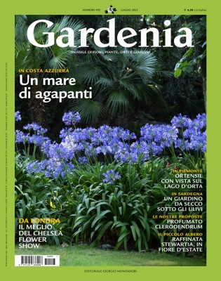 Gardenia - Luglio 2025