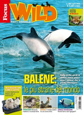 Focus Wild - Luglio 2025