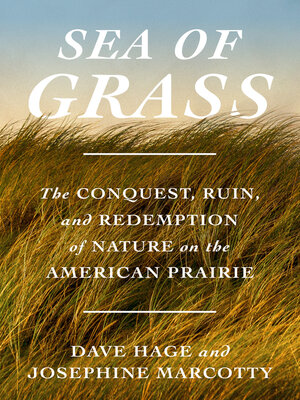 Cover: Sea of Grass - Dave Hage