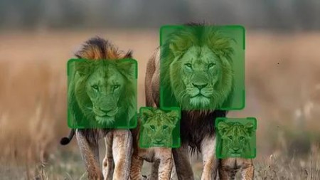 [Image: 45ba291439d5ea7f7b1c95977ea445f6.jpg]