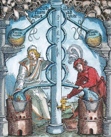 Cover: A Secret Alchemy - Emma Darwin