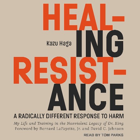 Cover: Healing Resistance - Kazu Haga