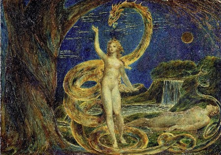 Cover: The Gn&ocirc;sis of the Light - F. Lamplugh